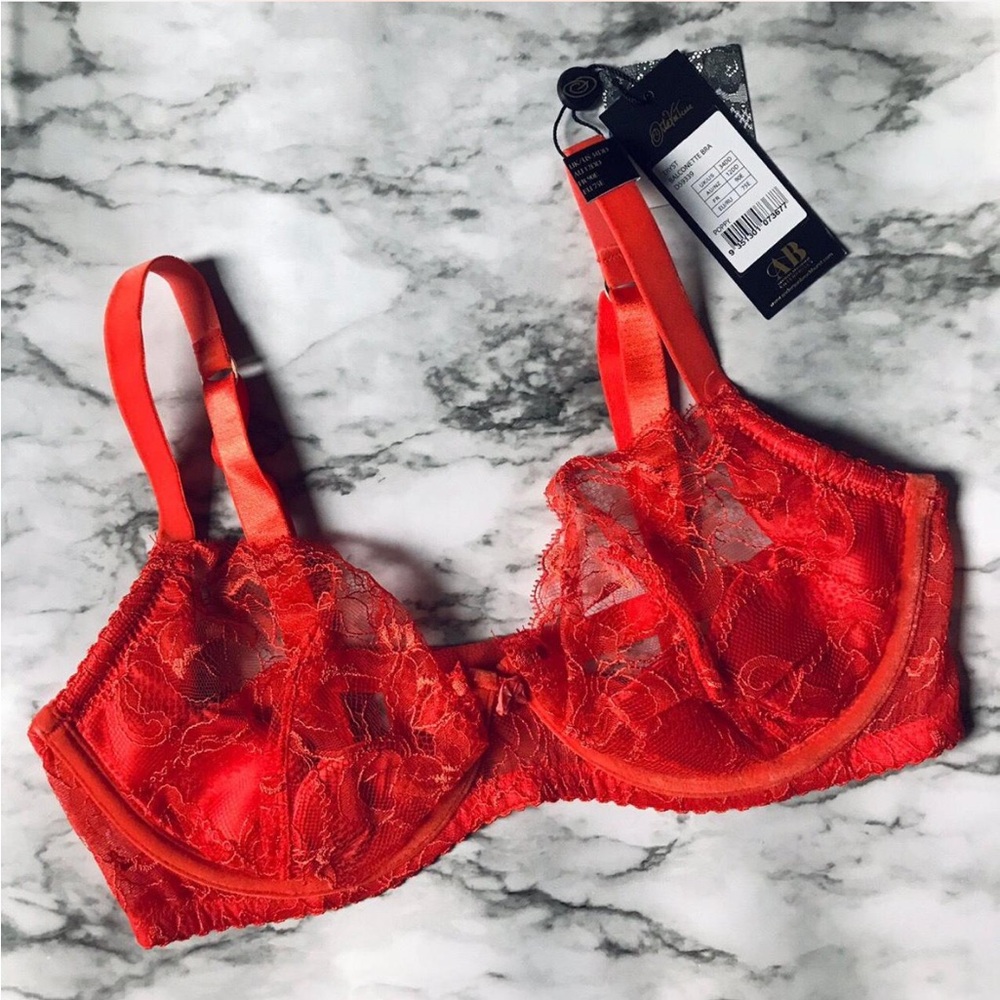 DITA VON TEESE TRYST BRA AND SUSPENDER BNWT - Picture 2 of 4